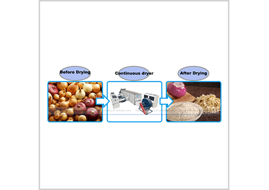 Continuous Onion Drying Dehydrator Machine With Mesh Belt