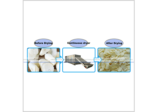 Garlic Drying Machine - Baixin