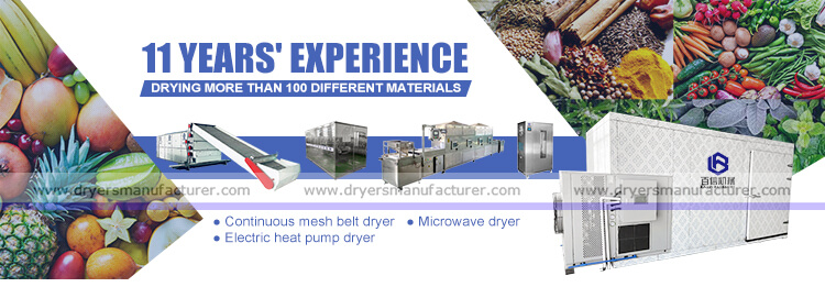 Vegetable Dryer Machine India, Vegetable Drying Machine-Henan Baixin  Machinery