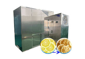 Fruit and vegetable freezing dryer machine_Henan Baixin Machinery