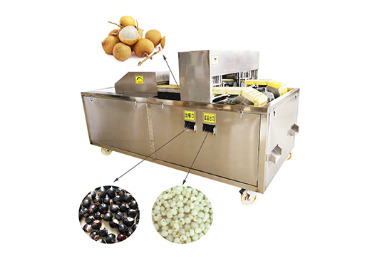 Fruit Pitter Machine