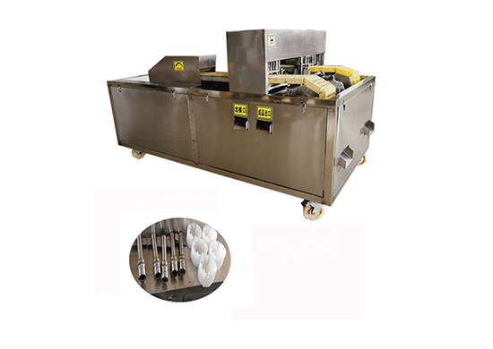 Fruit Pitter Machine