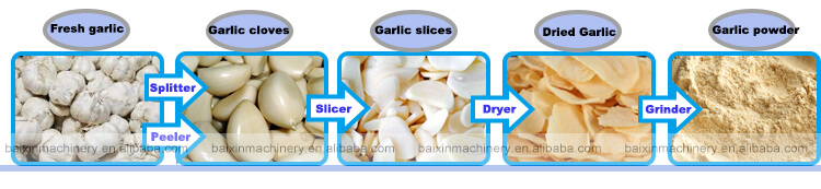 Garlic Drying Machine - Baixin